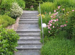 Treppe