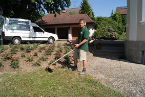 Gartenpflege durchgeführt von Gartenbau Ihringer
