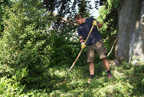 Gartenpflege durchgeführt von Gartenbau Ihringer