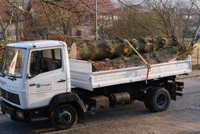 Holz-Abtransport von Gartenbau Ihringer