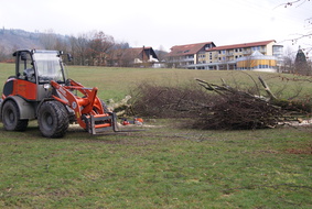 Holz-Abtransport