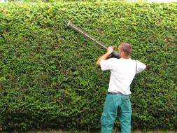 Heckenschnitt von Gartenbau Ihringer